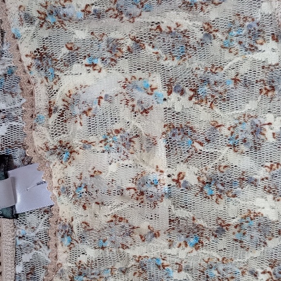 NWT Daydream Nation Wilshire Panty in Floral Mesh Lace Size Medium - Picture 3 of 8